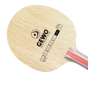 GEWO Hybrid Carbon X/Speed